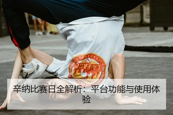 辛纳比赛日全解析：平台功能与使用体验